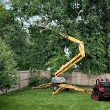 Best Leaf Removal  in Oakley, CA