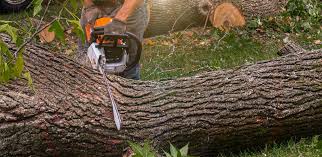 Best Aeration Services  in Oakley, CA